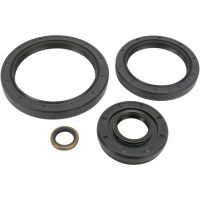Lager Kit Differential Fram Moose Racing