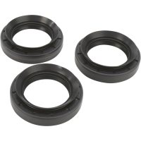 Lager Kit Differential Fram Moose Racing