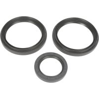 Lager Kit Differential Fram Moose Racing