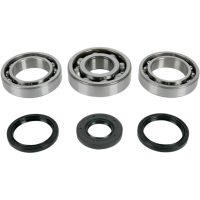 Lager Kit Differential Fram Moose Racing