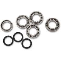 Lager Kit Differential Fram Moose Racing