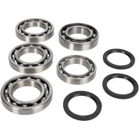 Lager Kit Differential Fram Moose Racing