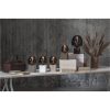 Lampfot E27 Box Vit Star Trading – miniatyr 6