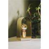Lampfot E27 Nobel Mässing Star Trading – miniatyr 11