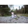 LED Gravljus Dandelion STAR TRADING – miniatyr 2