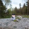 LED Gravljus Dandelion STAR TRADING – miniatyr 3