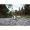 LED Gravljus Dandelion STAR TRADING – miniatyr 4