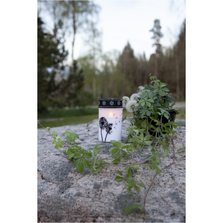 LED Gravljus Dandelion STAR TRADING – bild 5