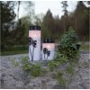 LED Gravljus Dandelion STAR TRADING – miniatyr 6
