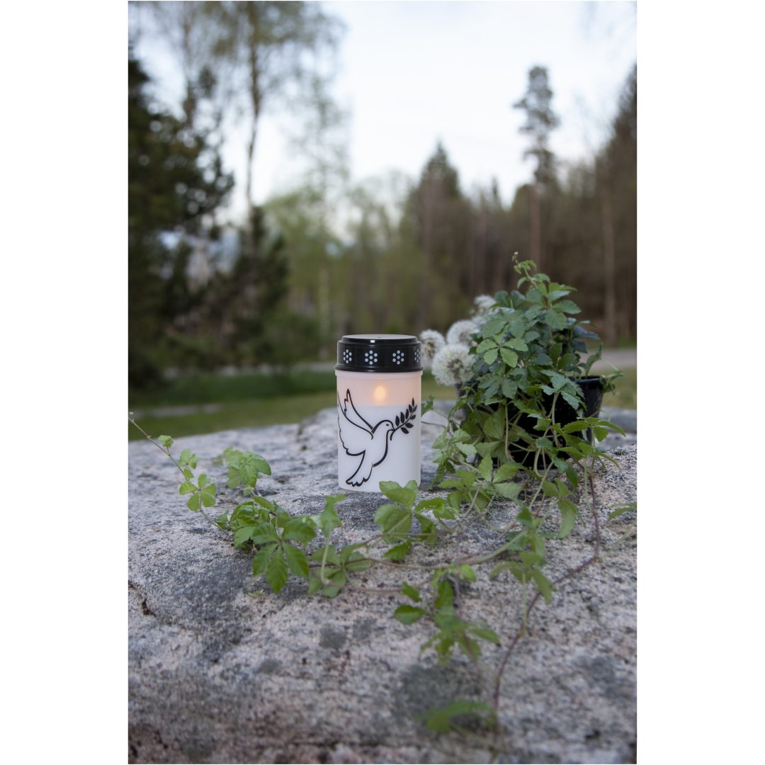 LED Gravljus Dove STAR TRADING – bild 3