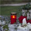 LED Gravljus Serene Röd Star Trading – miniatyr 5
