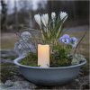 LED Gravljus Serene Vit Star Trading – miniatyr 4