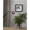 LED-lampa E14 G80 Decoled Smoke Star Trading – miniatyr 12