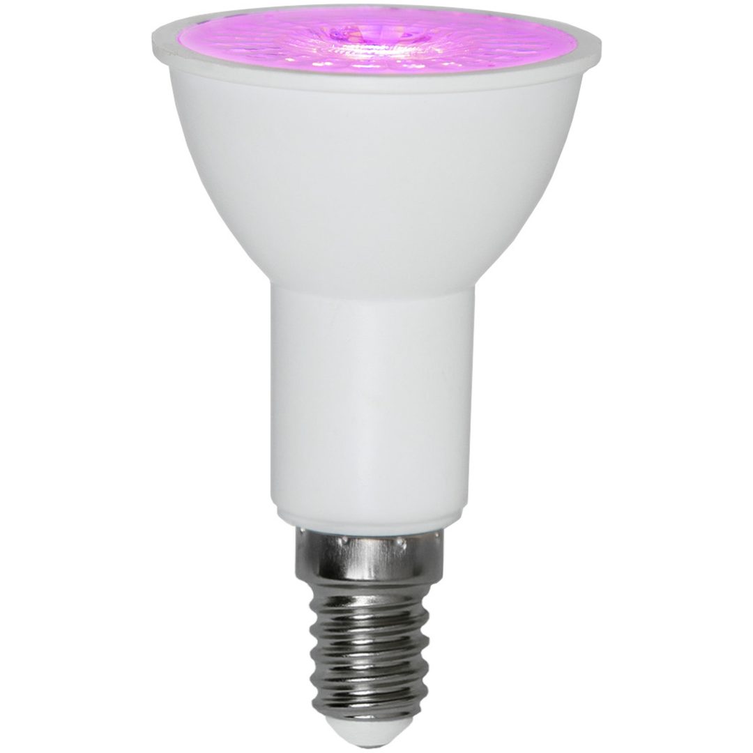 LED-lampa E14 PAR16 Plant Light STAR TRADING – bild 2