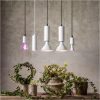 LED-lampa E14 PAR16 Plant Light STAR TRADING – miniatyr 3