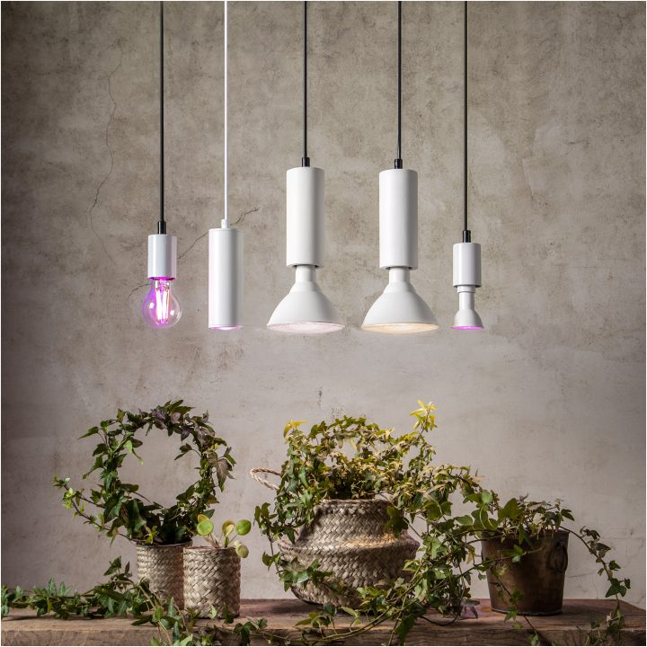 LED-lampa E14 PAR16 Plant Light STAR TRADING – bild 3