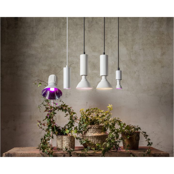 LED-lampa E14 PAR16 Plant Light STAR TRADING – bild 5