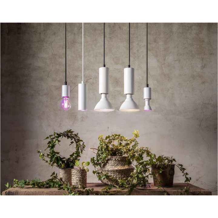 LED-lampa E14 PAR16 Plant Light STAR TRADING – bild 6