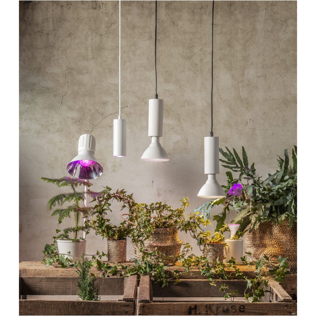 LED-lampa E14 PAR16 Plant Light STAR TRADING – bild 7