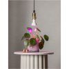 LED-lampa E14 PAR16 Plant Light STAR TRADING – miniatyr 8