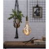 LED-lampa E27 A165 Industrial Vintage Amber Star Trading – miniatyr 5