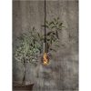LED-lampa E27 A60 Decoled Grace Smoke Star Trading – miniatyr 3