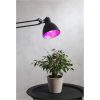 LED-lampa E27 A60 Plant Light STAR TRADING – miniatyr 3