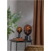 LED-lampa E27 C150 ColourMix Gul Star Trading – miniatyr 13