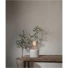 LED-lampa E27 G125 Decoled Grace Clear Star Trading – miniatyr 1