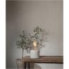 LED-lampa E27 G125 Decoled Grace Clear Star Trading – miniatyr 1