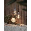 LED-lampa E27 G125 Decoled New Generation Classic Vit Star Trading – miniatyr 17