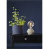 LED-lampa E27 G125 Soft Glow Transparent Star Trading – miniatyr 11