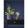 LED-lampa E27 G125 Soft Glow Transparent Star Trading – miniatyr 17