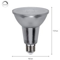LED-lampa E27 PAR30 Spotlight Glass STAR TRADING