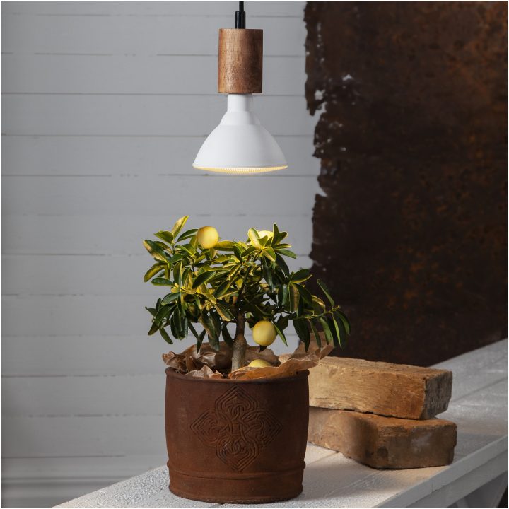 LED-lampa E27 PAR38 Plant Light Vit Star Trading – bild 6