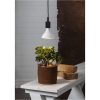 LED-lampa E27 PAR38 Plant Light Vit Star Trading – miniatyr 3