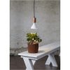 LED-lampa E27 PAR38 Plant Light Vit Star Trading – miniatyr 2