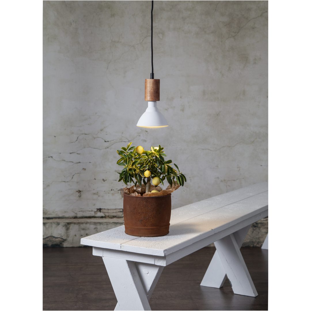 LED-lampa E27 PAR38 Plant Light Vit Star Trading – bild 2
