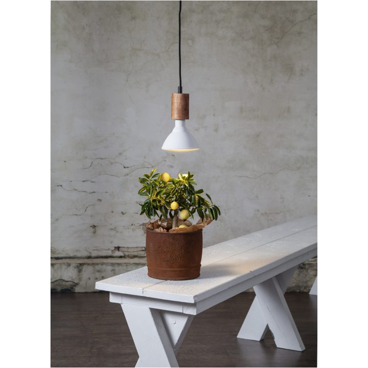 LED-lampa E27 PAR38 Plant Light Vit Star Trading – bild 2