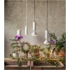 LED-lampa E27 PAR38 Plant Light Vit Star Trading – miniatyr 9