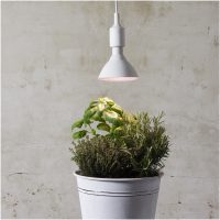 LED-lampa E27 PAR38 Plant Light Vit Star Trading