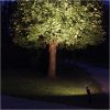 LED-lampa E27 PAR38 Spotlight Outdoor Silver Star Trading – miniatyr 6