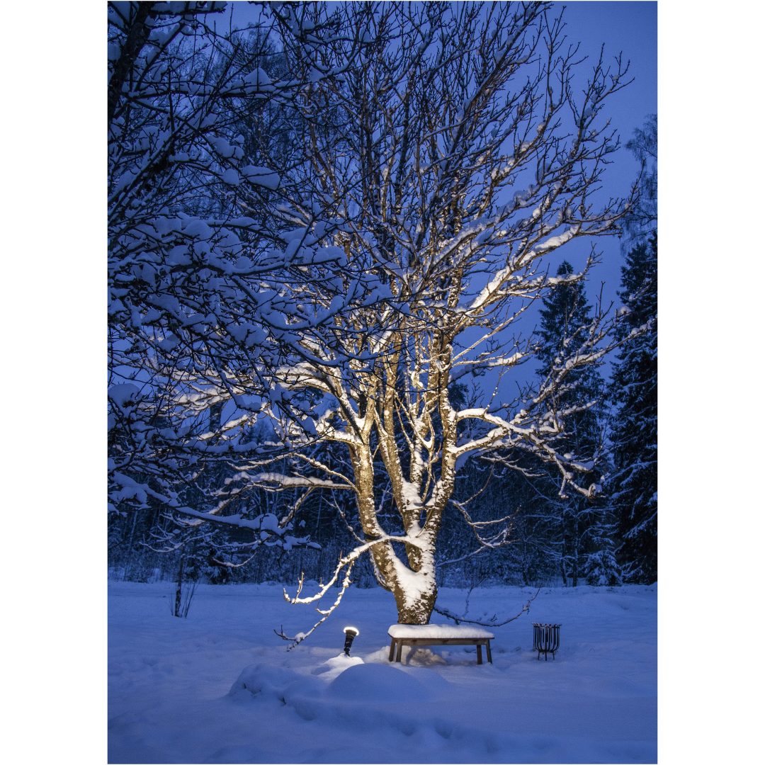 LED-lampa E27 PAR38 Spotlight Outdoor Svart Star Trading – bild 11