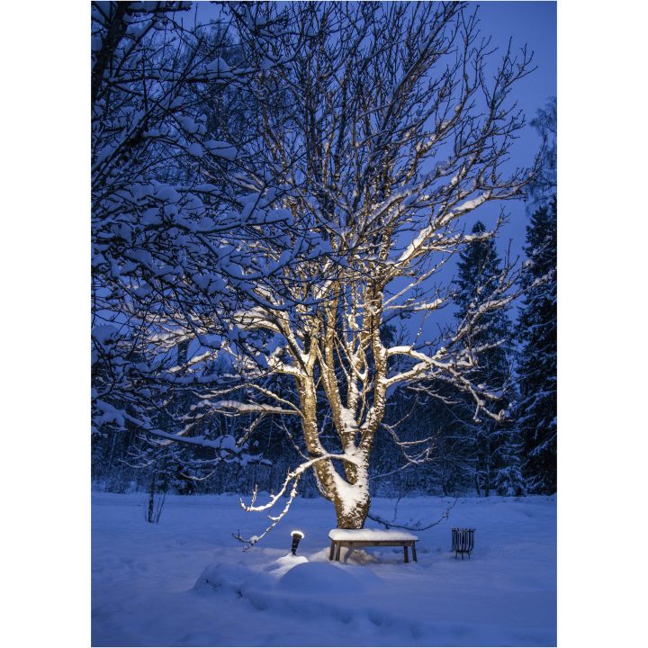 LED-lampa E27 PAR38 Spotlight Outdoor Svart Star Trading – bild 11