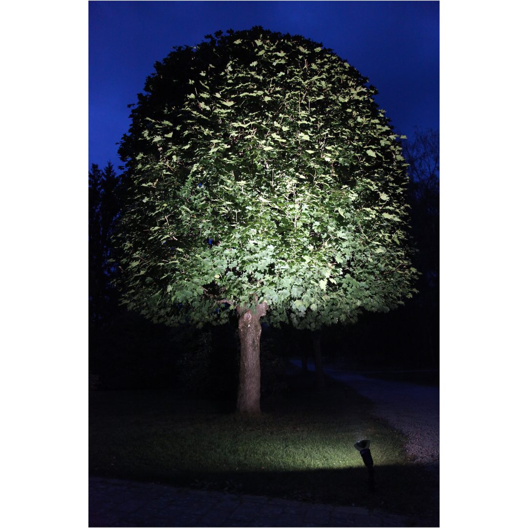 LED-lampa E27 PAR38 Spotlight Outdoor Svart Star Trading – bild 6