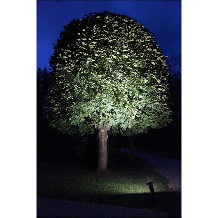 LED-lampa E27 PAR38 Spotlight Outdoor Svart Star Trading – bild 6