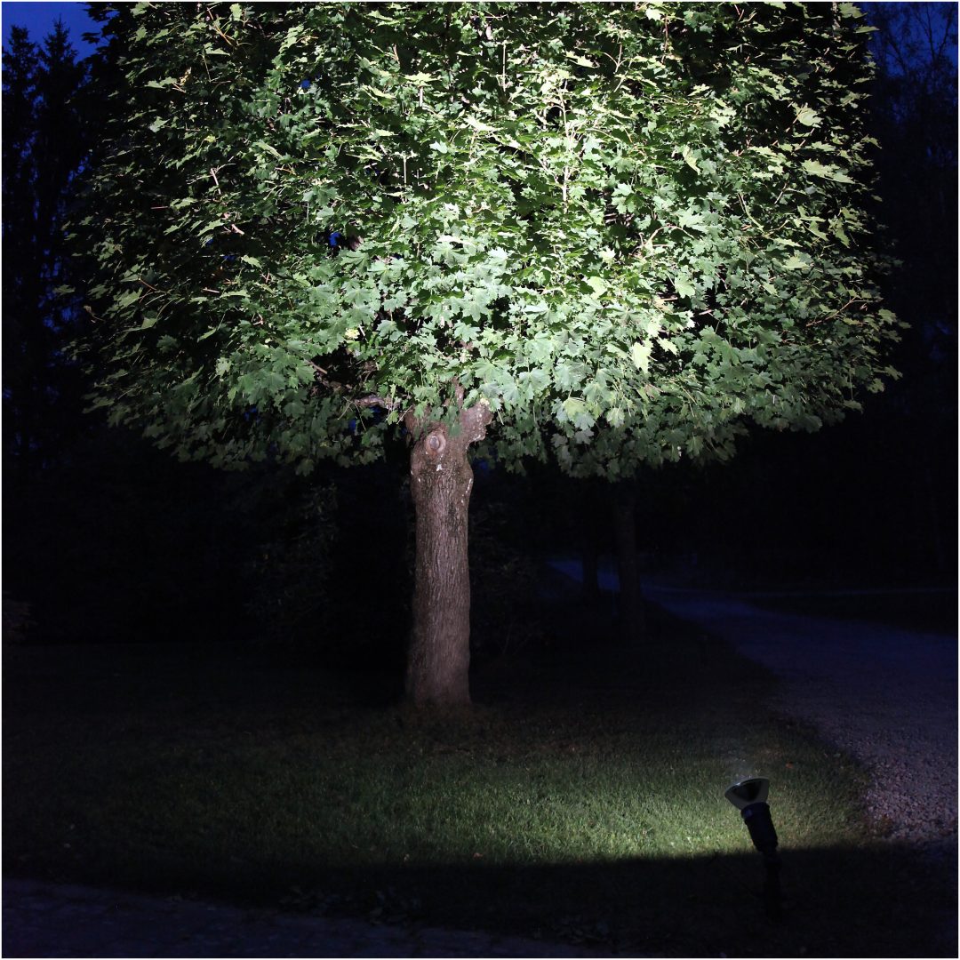 LED-lampa E27 PAR38 Spotlight Outdoor Svart Star Trading – bild 5