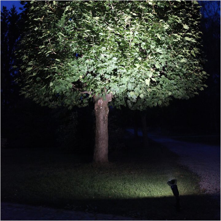 LED-lampa E27 PAR38 Spotlight Outdoor Svart Star Trading – bild 5