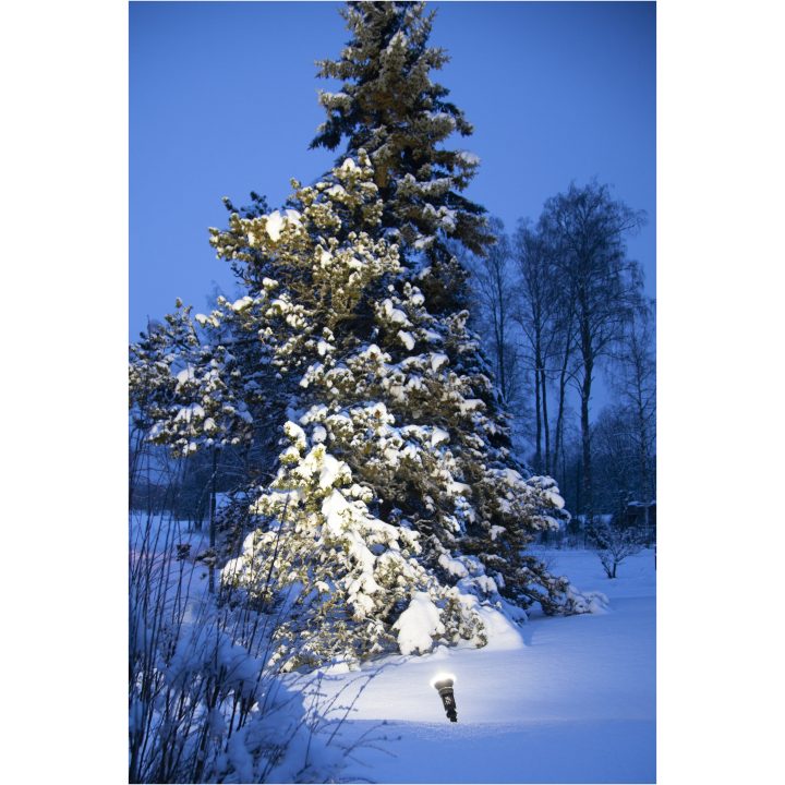 LED-lampa E27 PAR38 Spotlight Outdoor Svart Star Trading – bild 2
