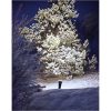 LED-lampa E27 PAR38 Spotlight Outdoor Svart Star Trading – miniatyr 10
